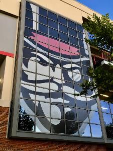 image of man in window